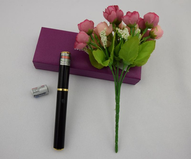 laser Jaune 50mw pas cher