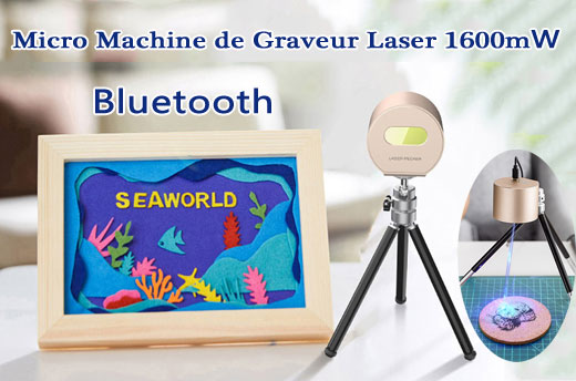 Micro Machine de Graveur Laser 1600mW