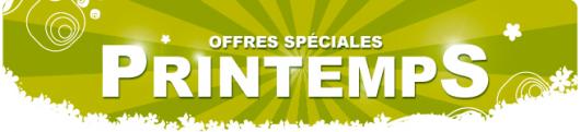 pointeur laser promotion pas cher