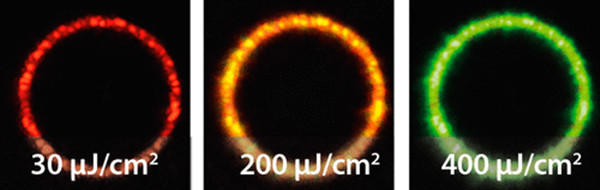 lasers à anneau à points quantiques