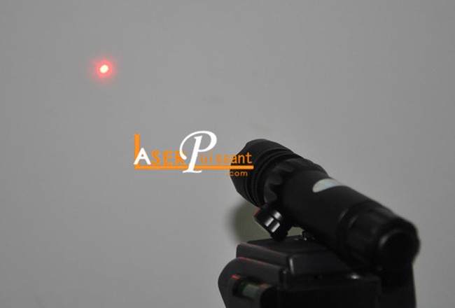 Mire laser pour carabine